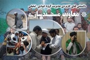 معاونت مستندسازی گروه جهادی تبلیغی
