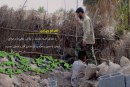 اقدام جهادی، یعنی…